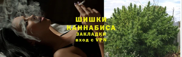 первитин Краснослободск