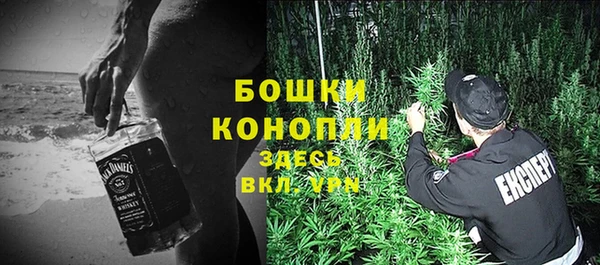 первитин Краснослободск